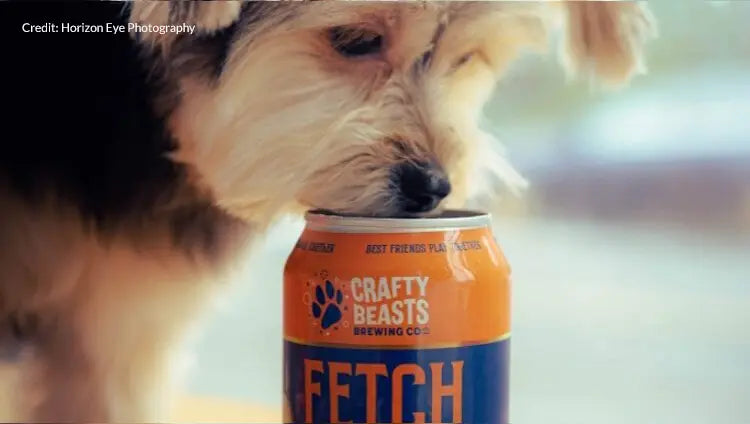 The Benefits of Dog Beer: Why Beef Bone Broth is the Ultimate Treat for Your Pup
