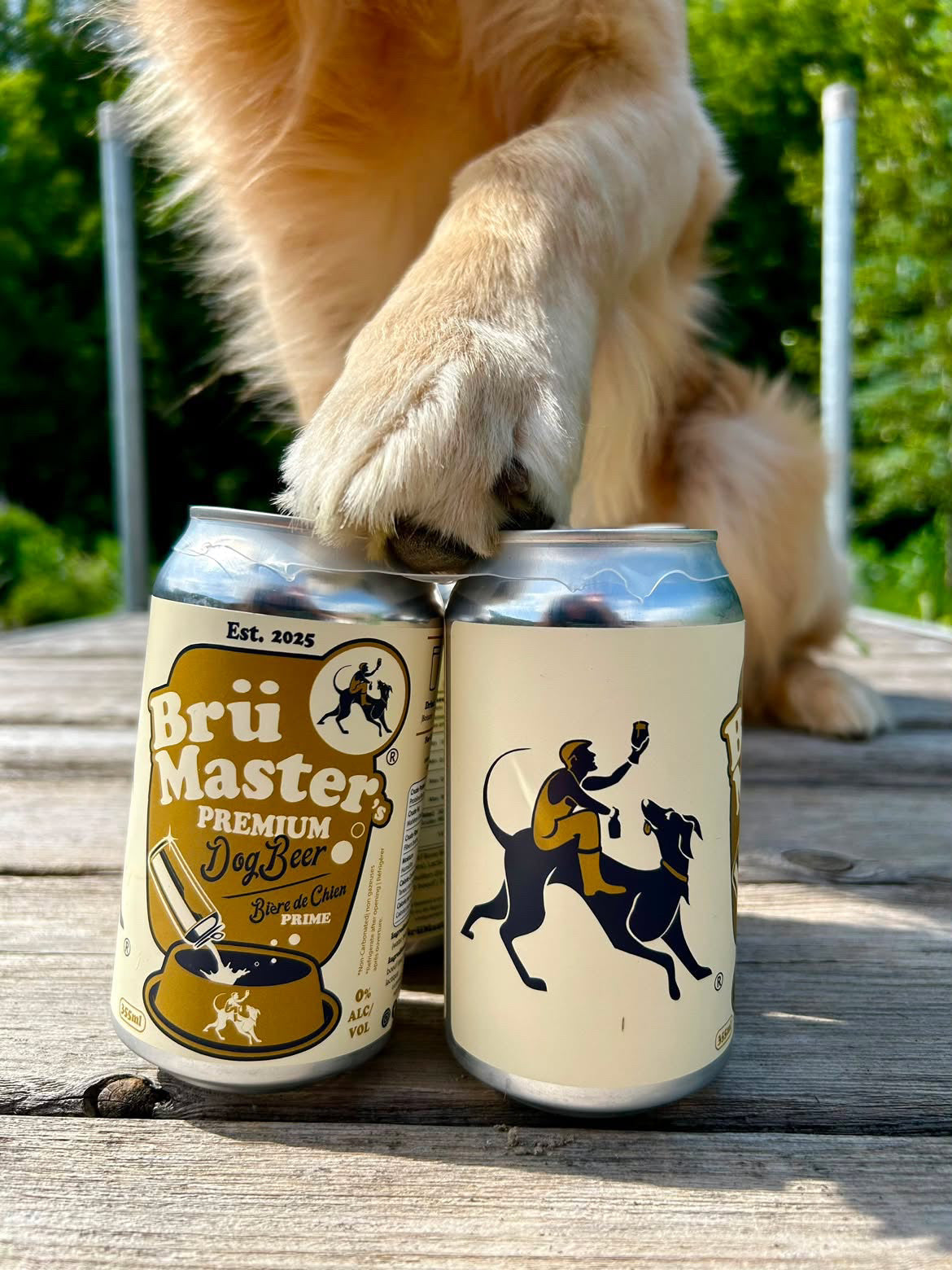 BrüMaster's Premium Dog Beer - SIX PACK