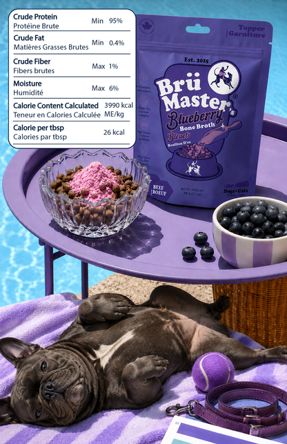 BrüMaster's - Blueberry Craft Bone Broth Powder