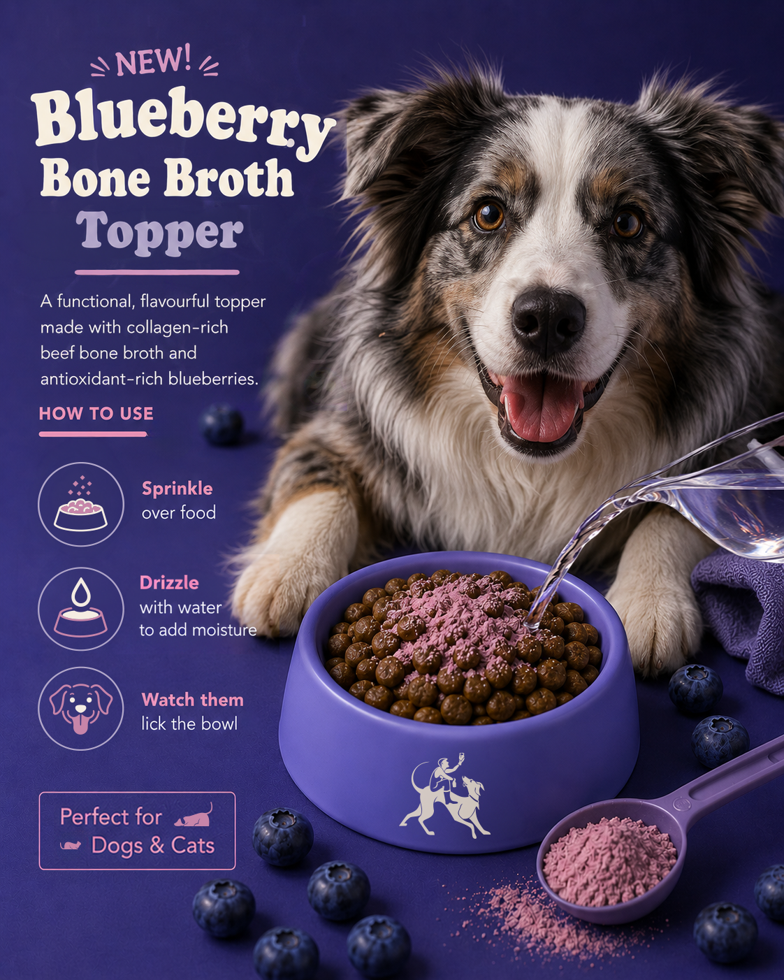 BrüMaster's - Blueberry Craft Bone Broth Powder