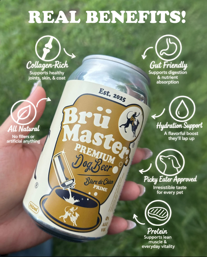 BrüMaster's Premium Dog Beer - SIX PACK