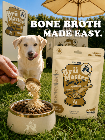 BrüMaster's Premium Dog Beer - SIX PACK