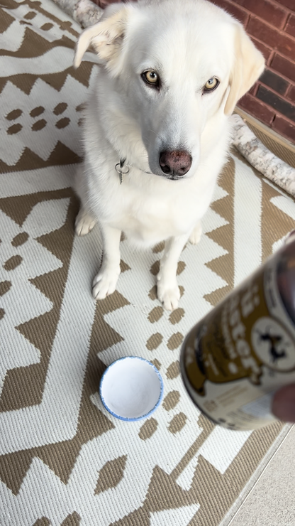BrüMaster's Premium Dog Beer - SIX PACK