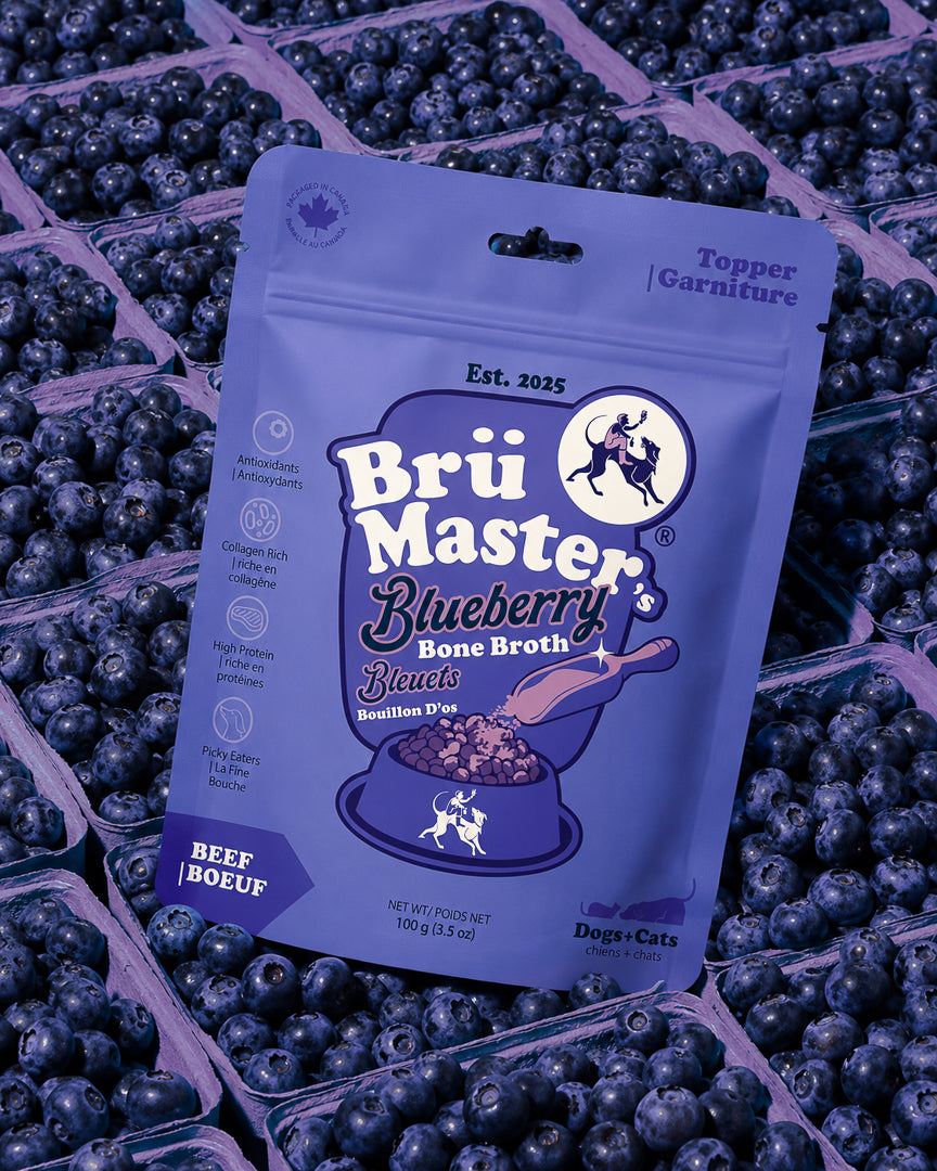 BrüMaster's - Blueberry Craft Bone Broth Powder
